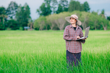 Women farmer holding laptop and checking rice field in organic farm of agriculture, gril use technology to plantation in farm 
