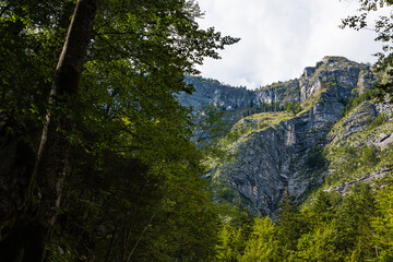 スロベニア　ボーヒニのサヴァイツア滝付近の風景