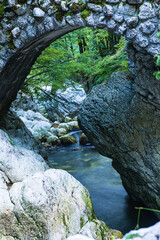 Fototapeta na wymiar スロベニア　ボーヒニのサヴァイツア滝から流れるサヴァ・ボーヒンカ