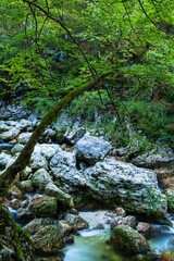 スロベニア　ボーヒニのサヴァイツア滝から流れるサヴァ・ボーヒンカ