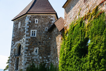 スロベニア　リュブリャナのリュブリャナ城