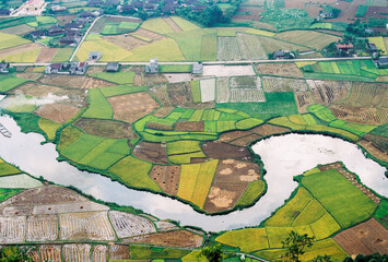Rice Field In Valley In Bac Son, Vietnam