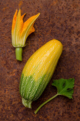 Raw whole zucchini