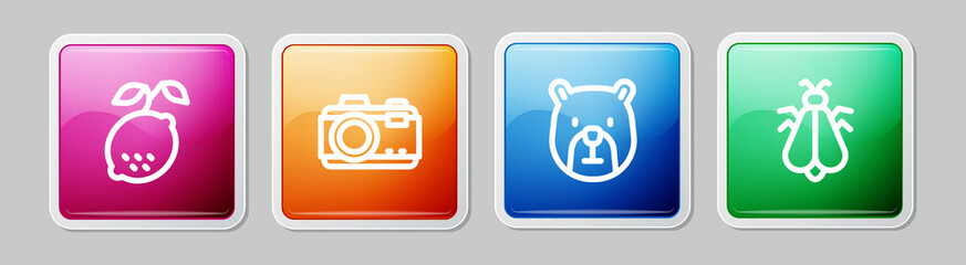 Set line Lemon, Photo camera, Bear head and Mosquito. Colorful square button. Vector