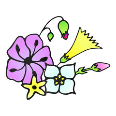 A coloured bouquet of wild flowers hand drawn