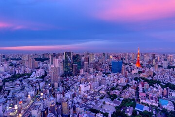 Fototapeta premium 東京夜景 2021