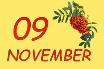 Rowan branch with red and orange berries and green leaves and date of 9 november on a yellow...