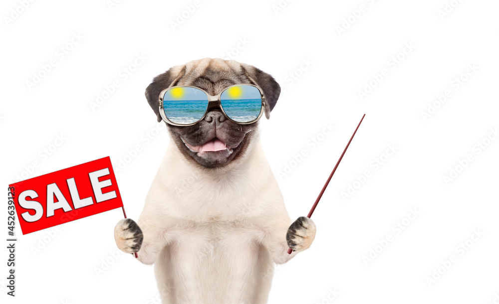 Poster pug puppy wearing mirrored sunglasses holds sales symbol and points away on empty space. isolated on