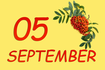 Rowan branch with red and orange berries and green leaves and date of 5 september on a yellow...