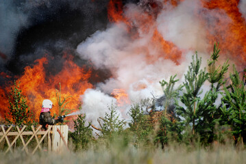 Firefighters extinguish a forest fire in the reserve on a summer day