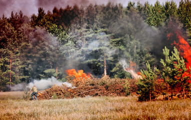 Firefighters extinguish a forest fire in the reserve on a summer day