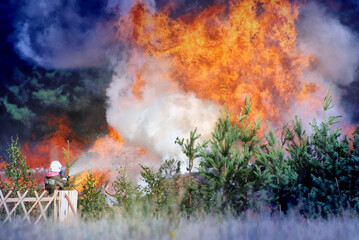 Firefighters extinguish a forest fire in the reserve on a summer day