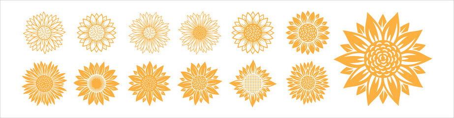 Sunflower blossom vector illustration set. Sunflower, aster, marigold flower illustration design set. Yellowish color