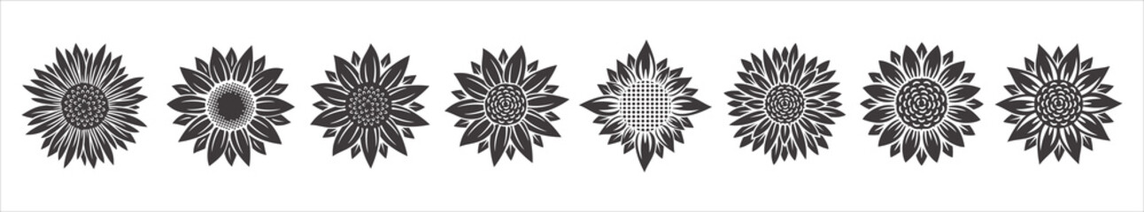 Sunflower blossom vector illustration set. Sunflower, aster, marigold flower illustration design set. Black color