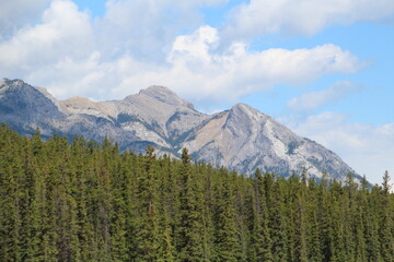 Beauty Of The Mountains, Nordegg, Alberta