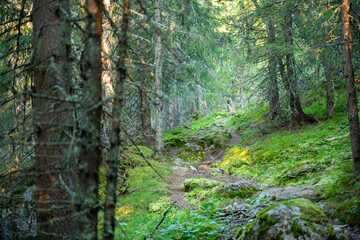 Hiking trails up the mountain and shots of the norway  landscape