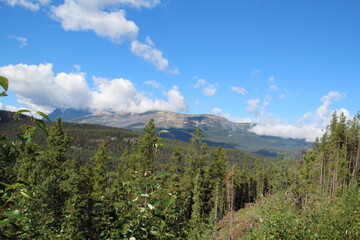 Fototapeta na wymiar Summer In The Mountains, Jasper National Park, Alberta
