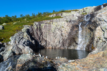 photos  of norwegian watercourses down the mountain and waterfalls