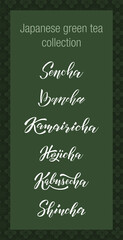 Vector illustration of the label with handwritten names of Japanese green teas: Sencha, Bancha, Kamairicha, Hojicha, Kabusecha, Shincha. Label, packaging, logo, menu template for a tea shop. EPS10