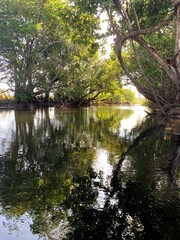 reflections in the water