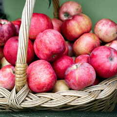 a lot of apples are in the basket