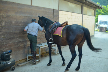 senior caucasian man preparing the horse for mounting and riding