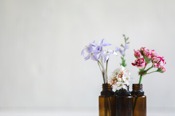 Fototapeta na wymiar Variety of flowers displayed in empty essential oils bottles with white background