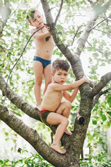 Two twins kids boys enjoying climbing on tree on summer day. - 452648121