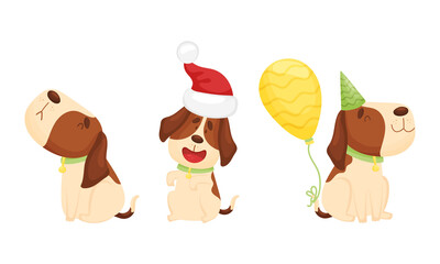 Cute funny beagle dog set. Cute pet animal in xmas and party hat celebrating holidays cartoon vector illustration