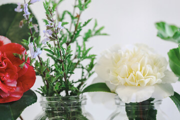 Variety of fresh flowers on display in clear white vases with white background