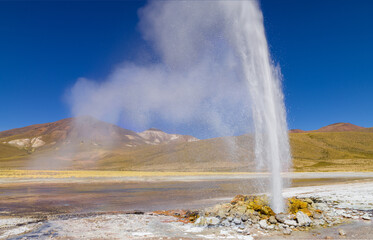 the continuous spouting cold water geyser Puchuldiza on the high altitude plateau of the altiplano in Isluga National Park in northern Chile - obrazy, fototapety, plakaty