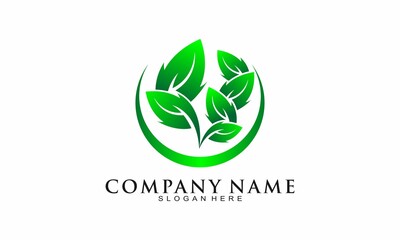 Elegant leaf logo design