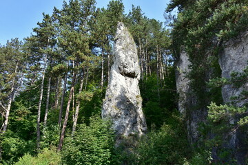 Poluvsianska column rock formation in Rajecke valley in Slovakia