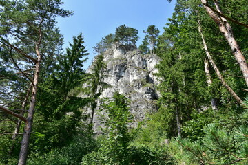 Fototapeta premium Rocks of Sun in Rajecka Valley in Slovakia