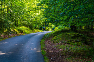 Parque Natural de Urbasa y Andia en Navarra, (País Vasco, España).