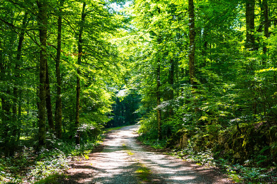 Parque Natural de Urbasa y Andia en Navarra, (Pa&iacute;s Vasco, Espa&ntilde;a).