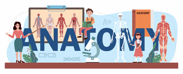 Anatomy typographic header. Internal human organ studying. Anatomy and biology