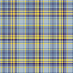 Plaid seamless pattern. Vector background of textile ornament. F