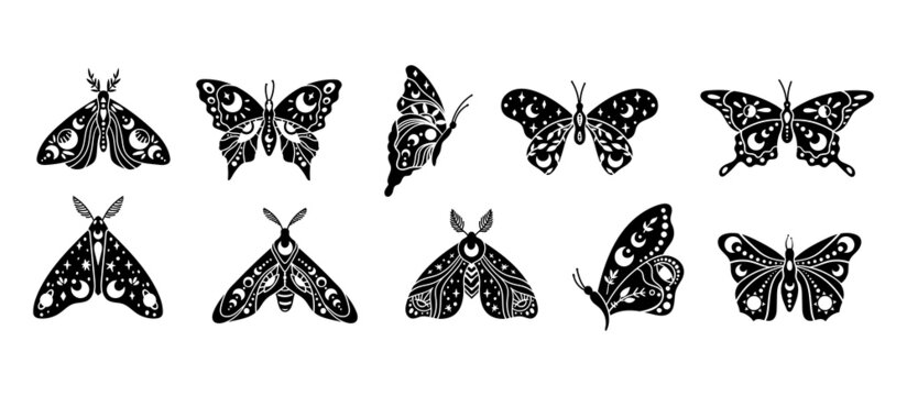 Mystical boho celestial butterfly and moth isolated cliparts bundle, mystical collection, moon and stars ornament, magic line crescent moon, esoteric objects - black and white vector illustration set