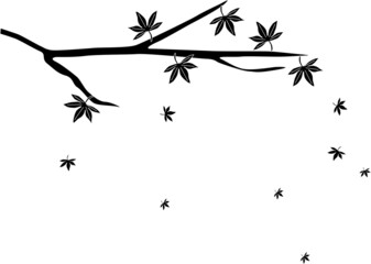 紅葉の葉が散るシルエット