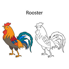 Funny cute bird rooster isolated on white background. Linear, contour, black and white and colored version. Illustration can be used for coloring book, design template and pictures for children