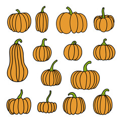 Pumpkins drawing hand drawn set isolated on white background vector fall autumn