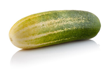 Cucumber close-up