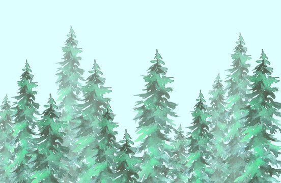 Watercolor group of trees - fir, pine, cedar, fir-tree. green forest, landscape, forest landscape. Drawing on white isolated background. Ecological poster. Watercolor banner with green spruce, larch © helgafo