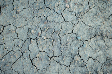 Closeup of dry soil, cracked soil. background and texture