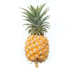 Fresh Pineapple on white background 