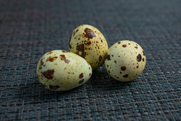 Quail egg close up on gray textured background .