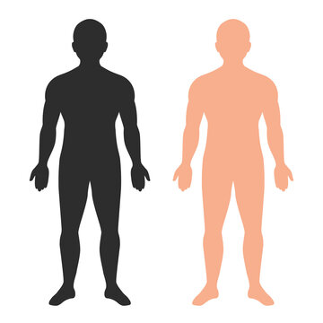 Human body silhouette, vector outline illustration