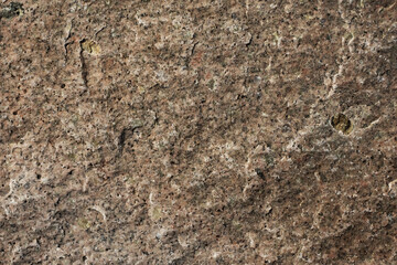 Colorful stone surface. Abstract nature background for design. Graphic element