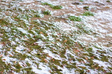 カナダ、ケベック州、モントリオールの観光名所を旅行する風景 Scenes from a trip to Montreal, Quebec, Canada 